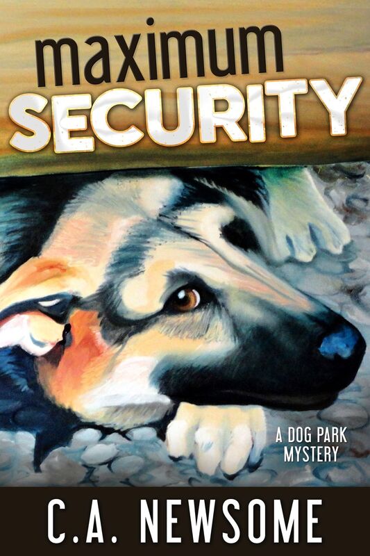 Maximum Security