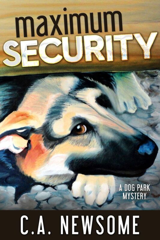 Maximum Security