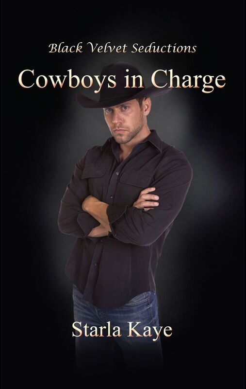 Cowboys In Charge