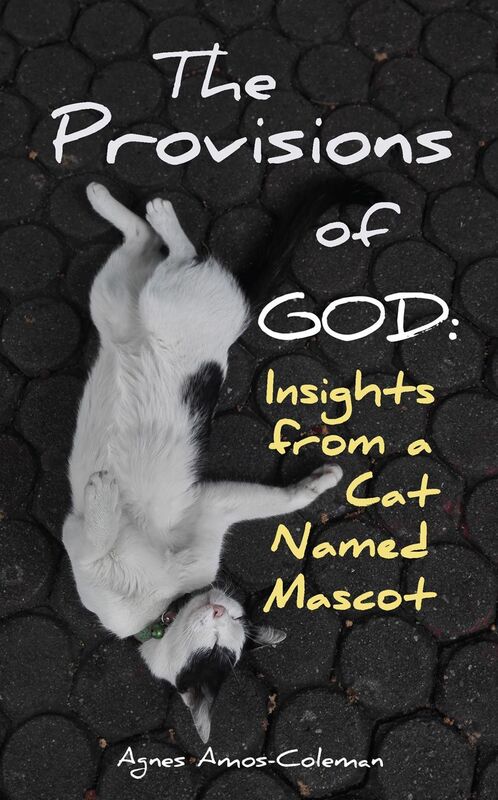 The Provisions of God: Insights from a Cat Named Mascot