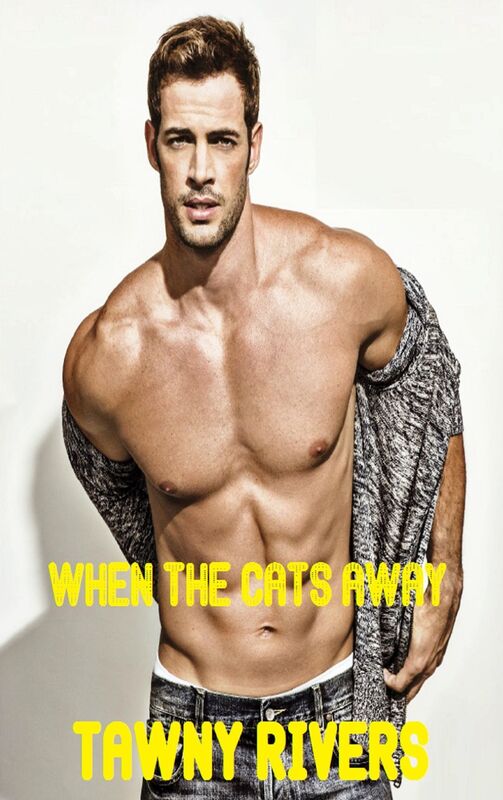 When The Cats Away - Pseudo Group Sex, Orgy