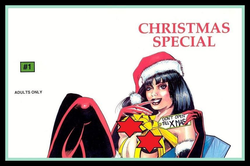 Christmas Special (Erotic Comic)