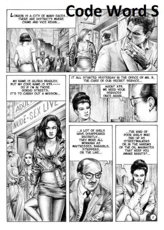 Code Word S (Erotic Comic)