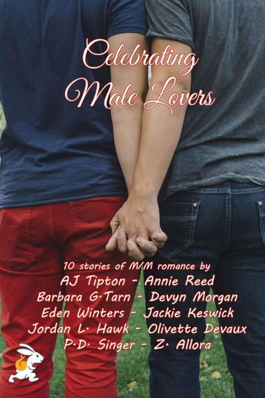 Celebrating Male Lovers: A 10 M/M Books Box Set