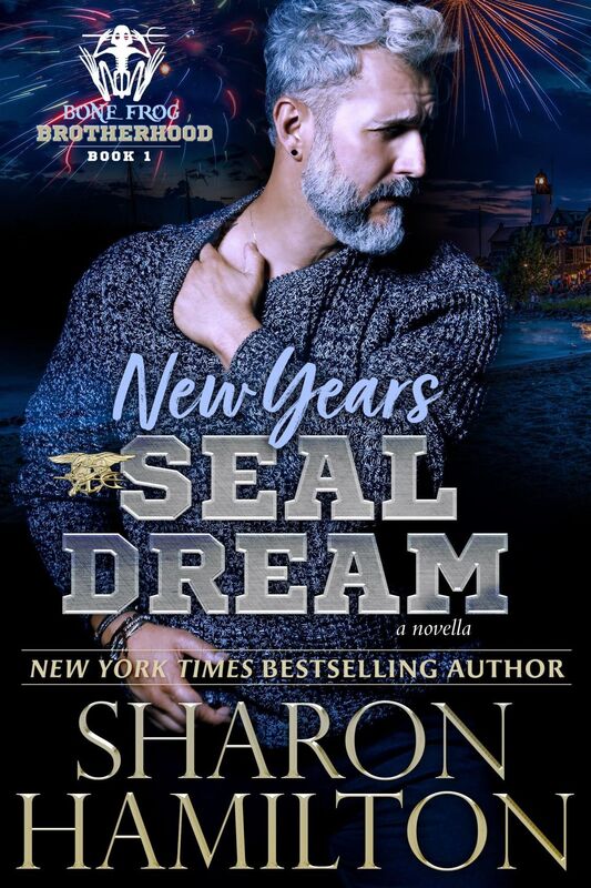 New Years SEAL Dream