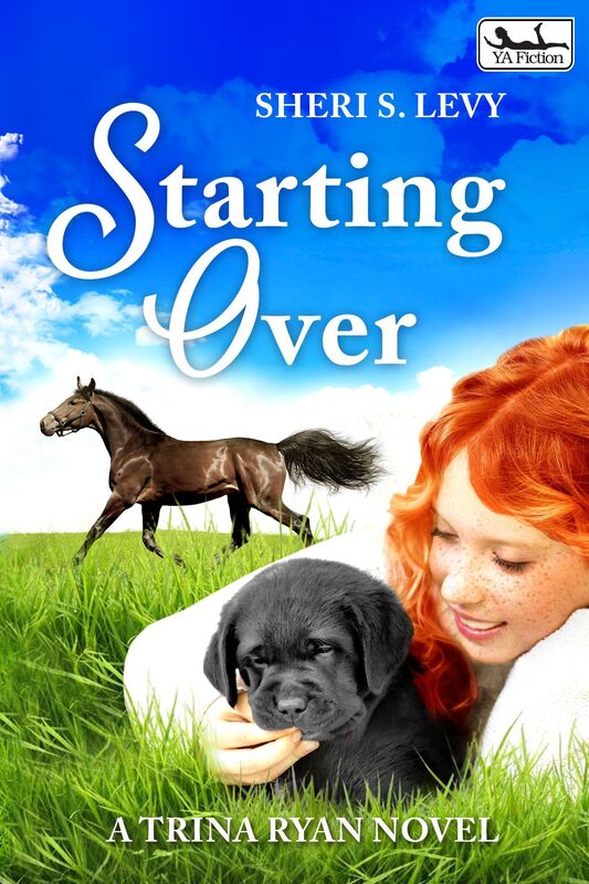 Starting Over