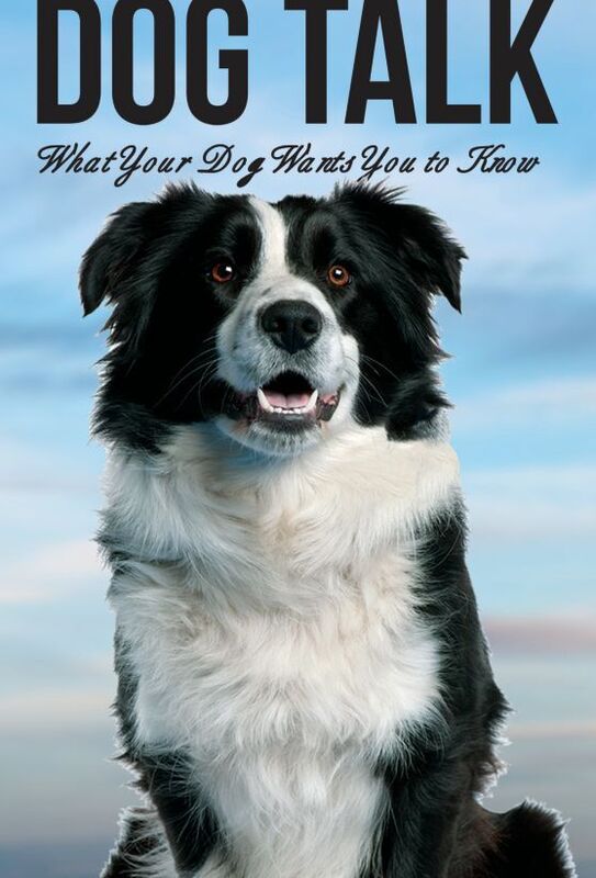 Dog Talk: What Your Dog Wants You to Know