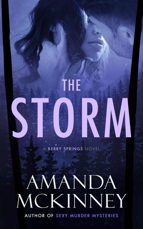 The Storm (A Berry Springs Novel, Book #3)