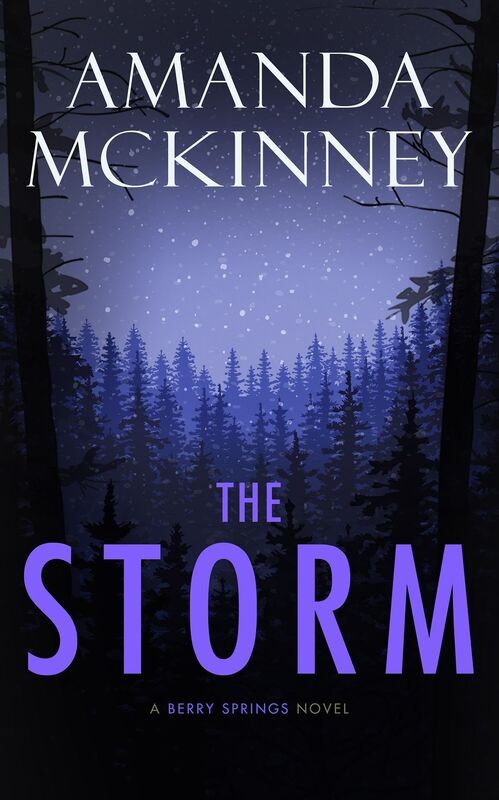 The Storm (A Berry Springs Novel, Book #3)