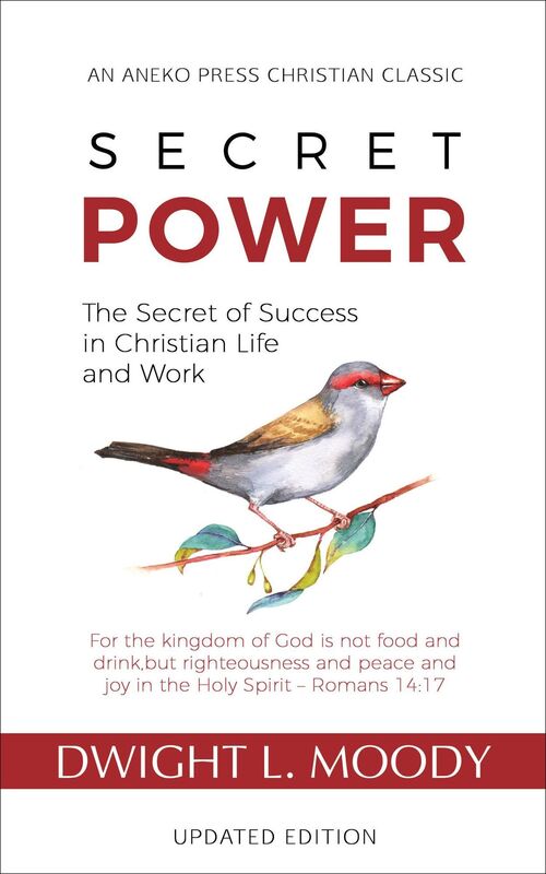 Secret Power - Updated Edition: The Secret of Success in Christian Life and Work