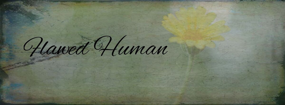 flawed human