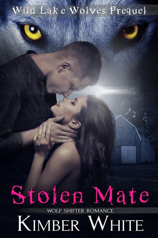 Stolen Mate