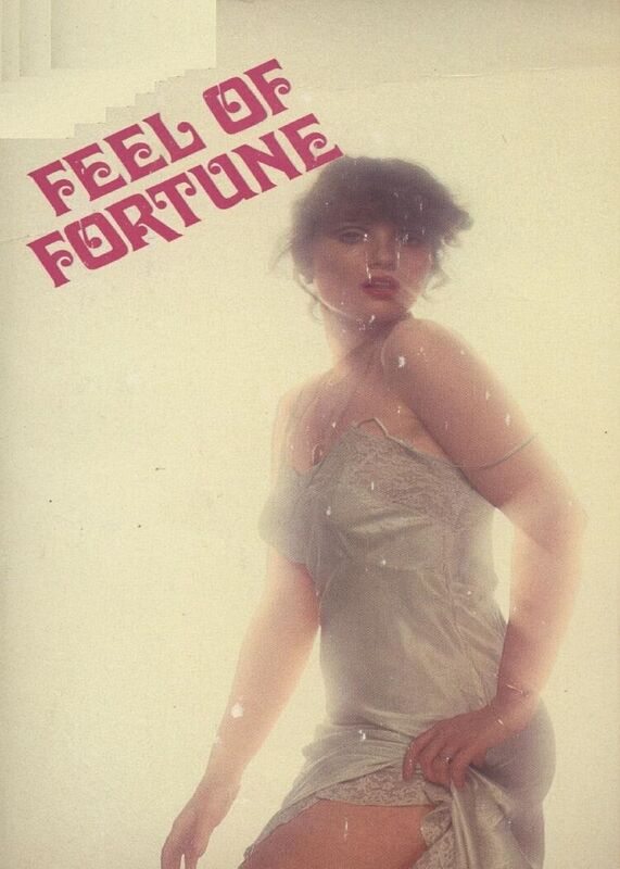 Feel Of Fortune - Erotic Novel