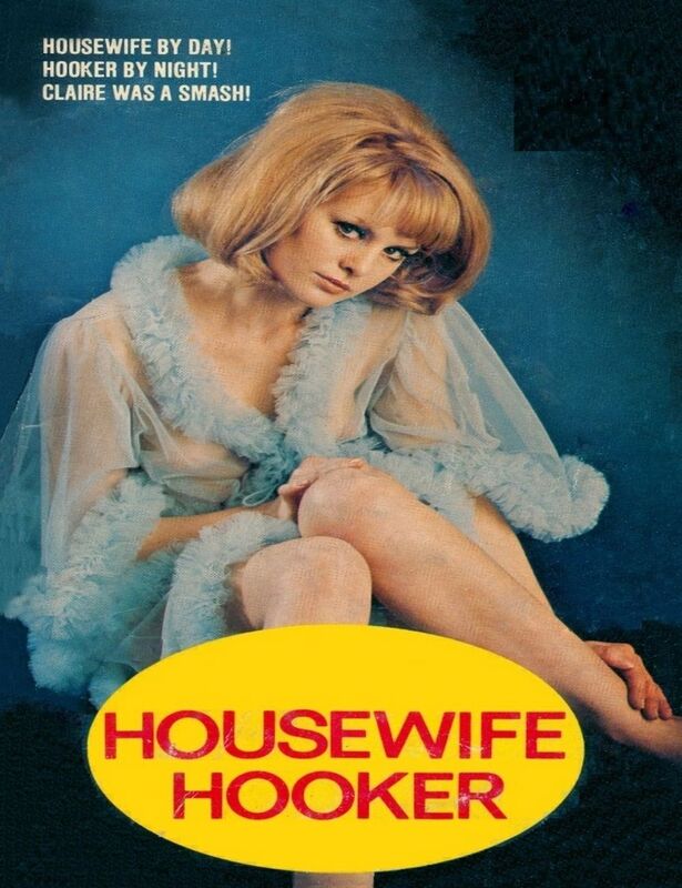 Housewife Hooker - Erotic Novel