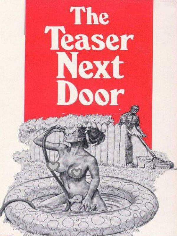 The Teaser Next Door - Erotic Novel