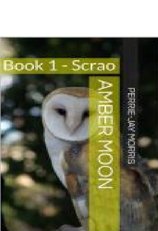 Amber Moon - Book I