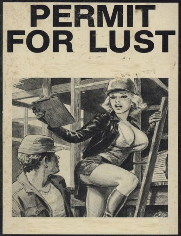 Permit For Lust (Erotica)