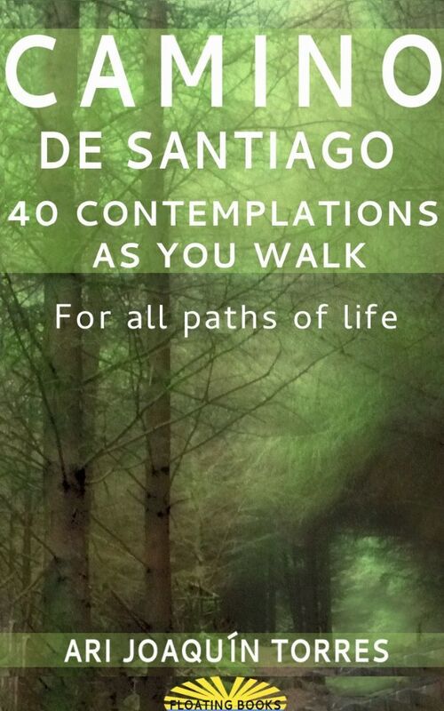 Camino de Santiago: 40 Contemplations As You Walk