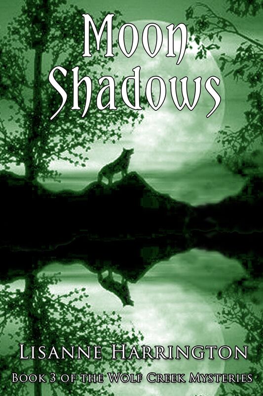 Moon Shadows
