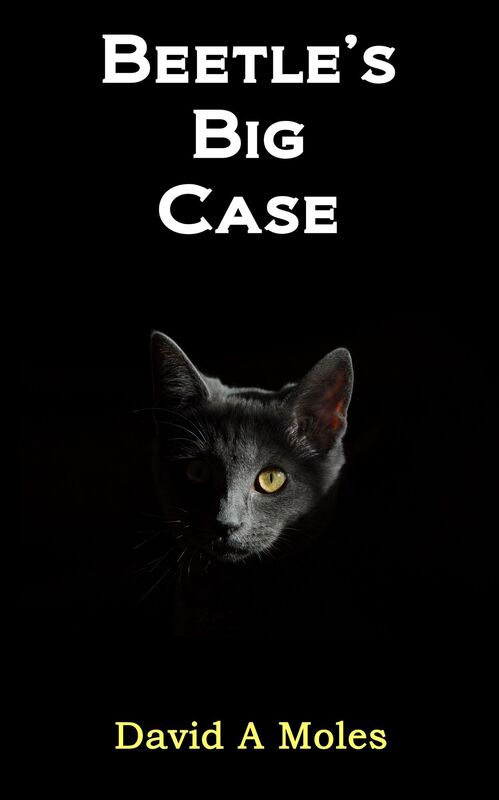 Beetle's Big Case