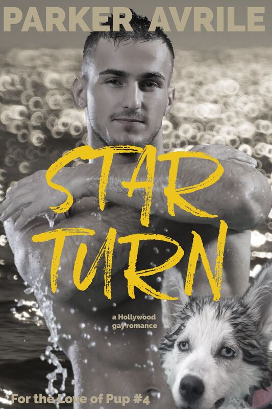 Star Turn: A Hollywood Gay Romance