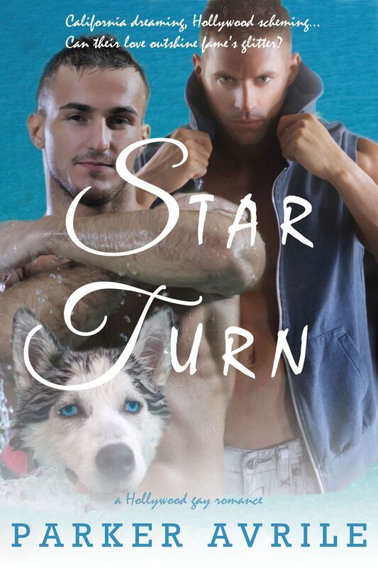 Star Turn: A Hollywood Gay Romance