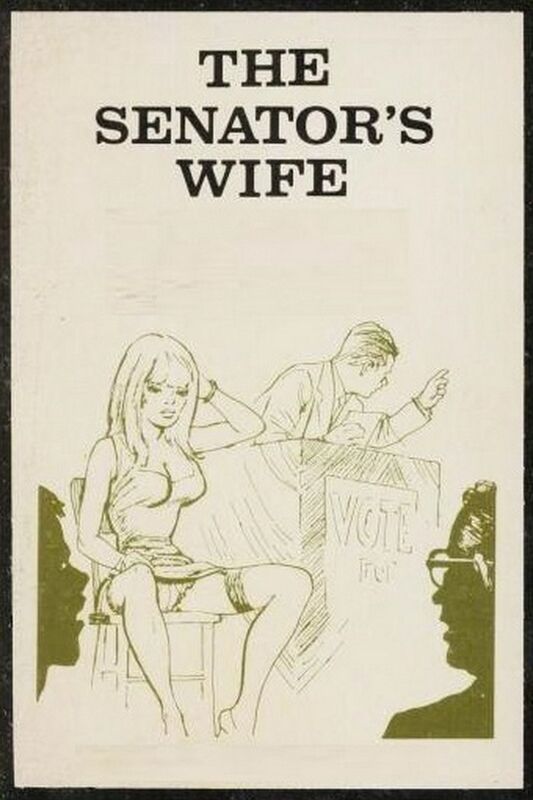 The Senator's Wife - Erotic Novel