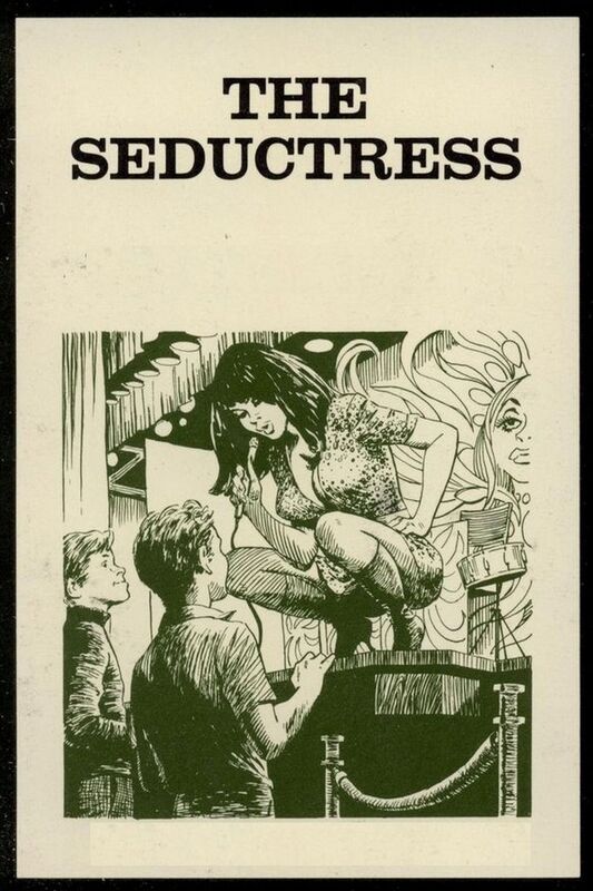 The Seductress - Erotic Novel