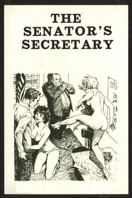 The Senator's Secretary - Erotic Novel