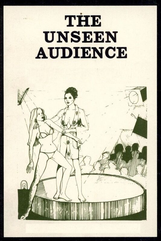 The Unseen Audience - Erotic Novel