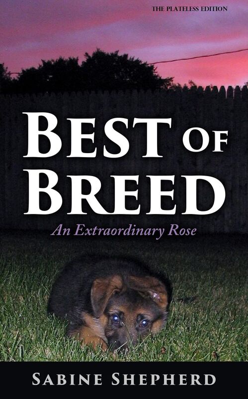Best Of Breed an Extraordinary Rose - Plateless Edition