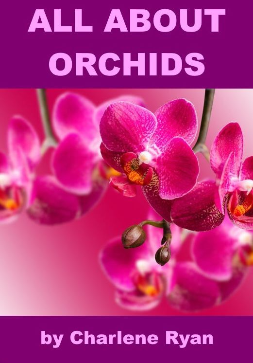 Orchids for Kids