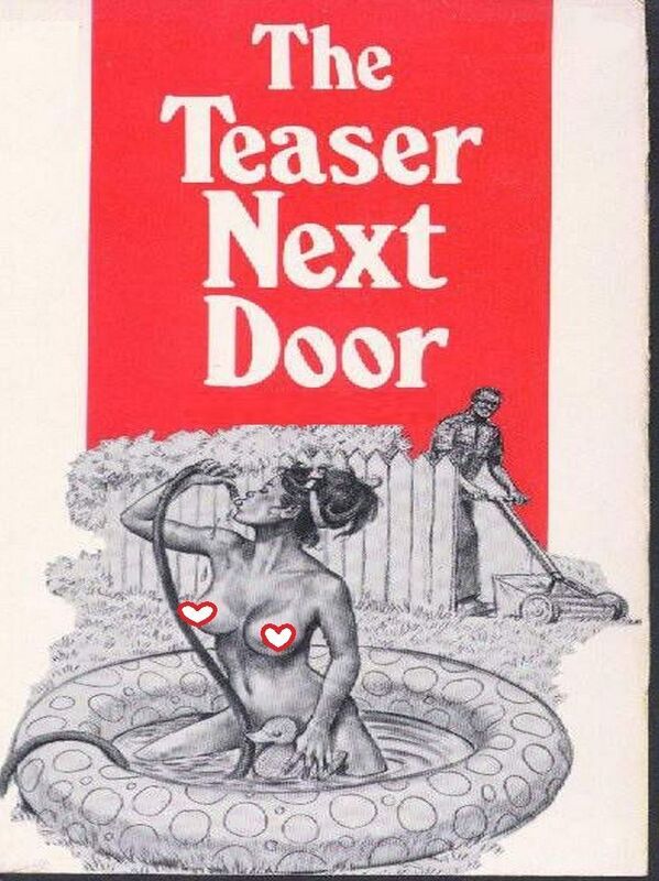 The Teaser Next Door - Erotic Novel