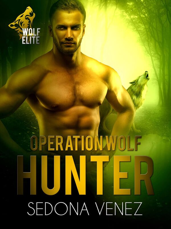 Operation Wolf: Hunter