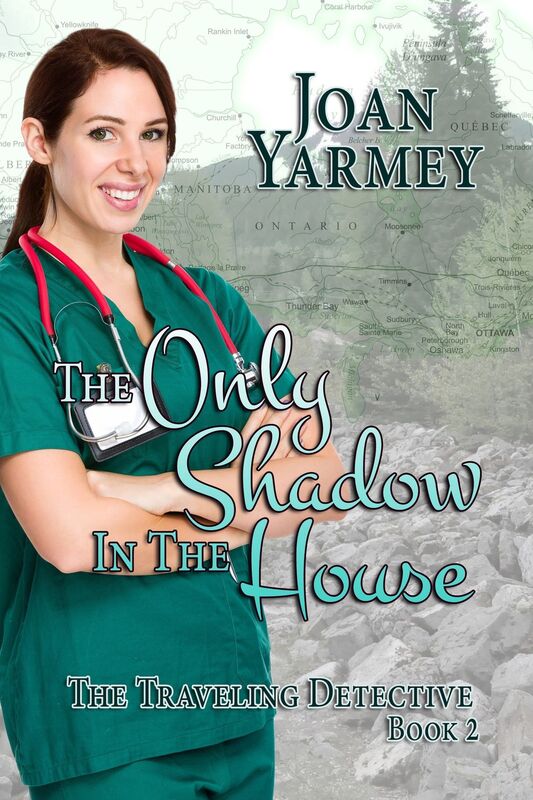 The Only Shadow In The House