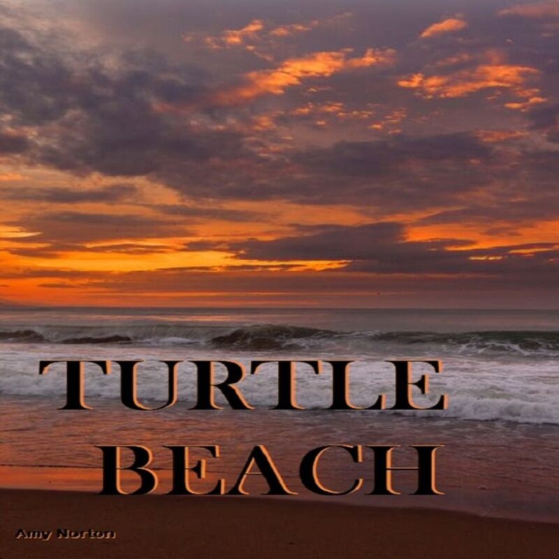 Turtle Beach