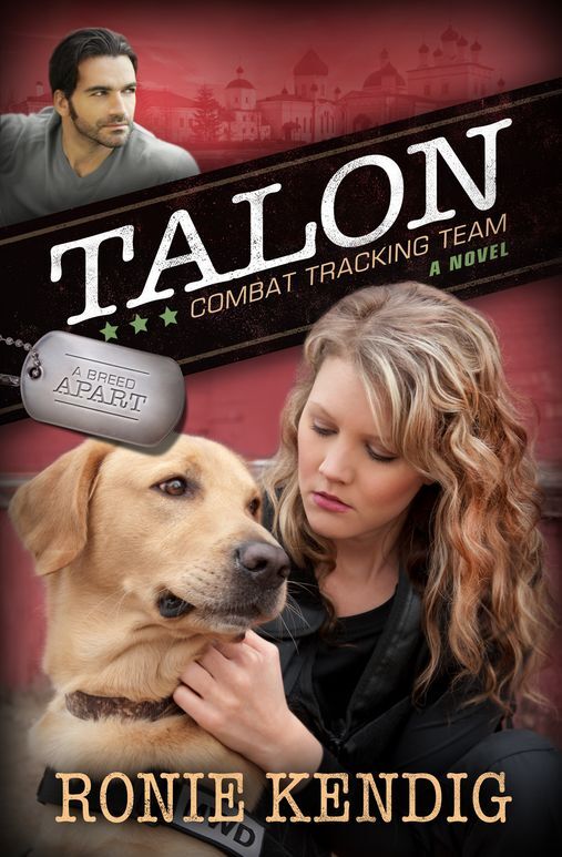 Talon: Combat Tracking Team