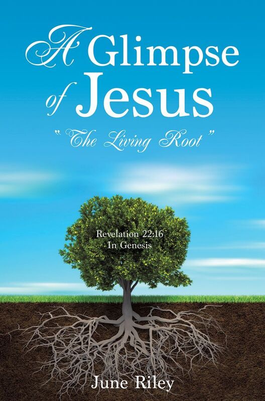 A Glimpse of Jesus