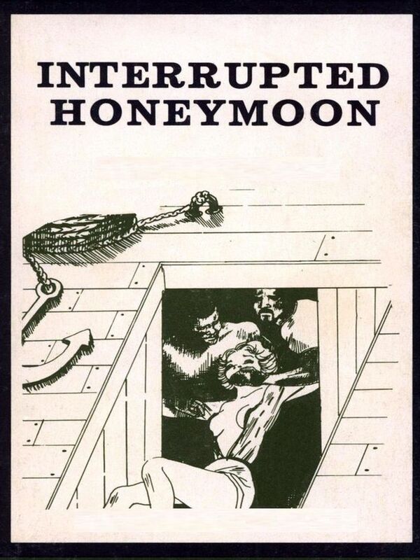 Interrupted Honeymoon - Erotica