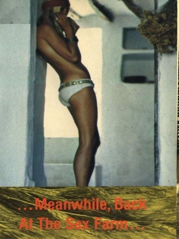 Meanwhile, Back at the Sex Farm - Erotica