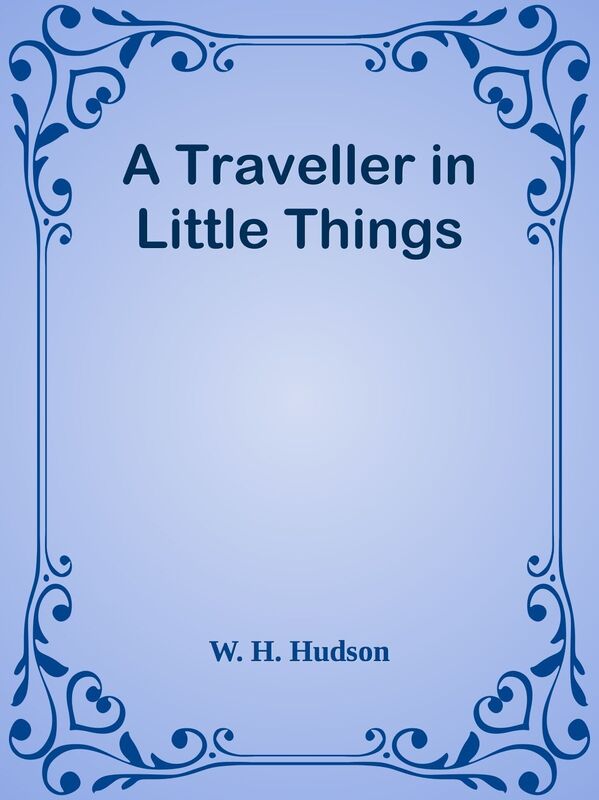 A Traveller in Little Things