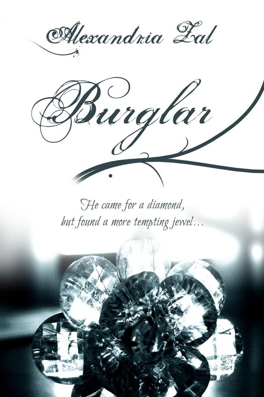 Burglar Formatted