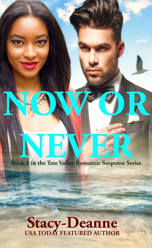 Now or Never: Tate Valley Romantic Suspense Series Book 1 (BWWM Interracial)