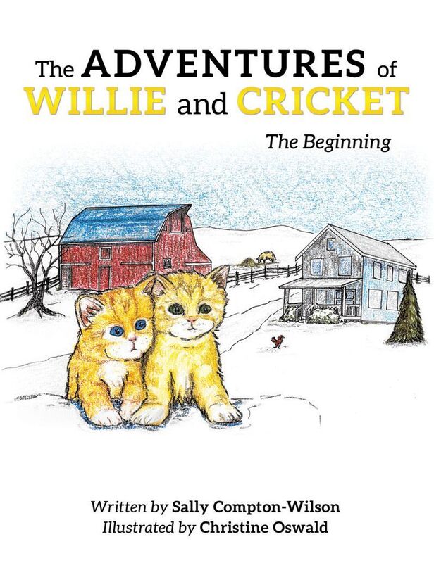 THE ADVENTURES OF WILLIE AND CRICKET