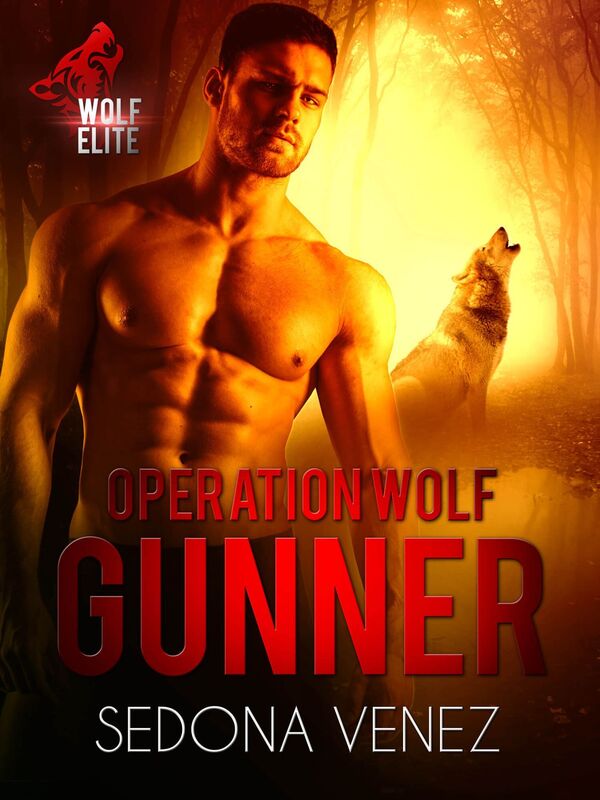 Operation Wolf: Gunner