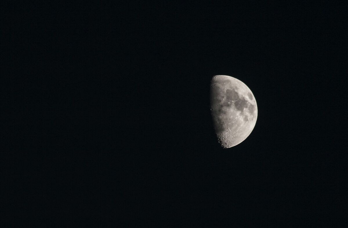 Whispers in the Dark