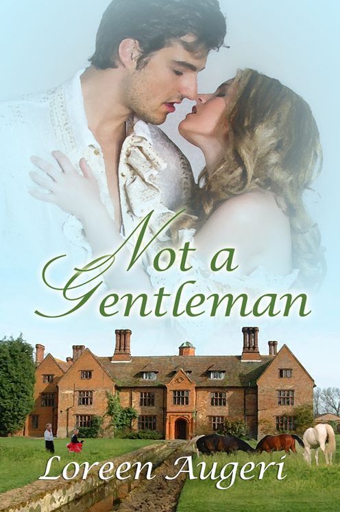 Not a Gentleman