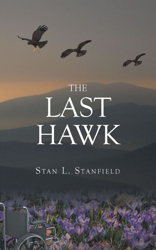 The Last Hawk