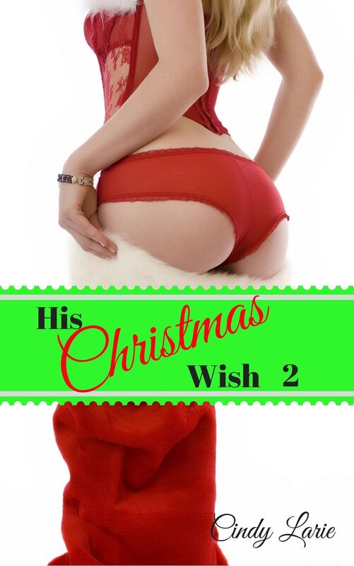 His Christmas Wish 2