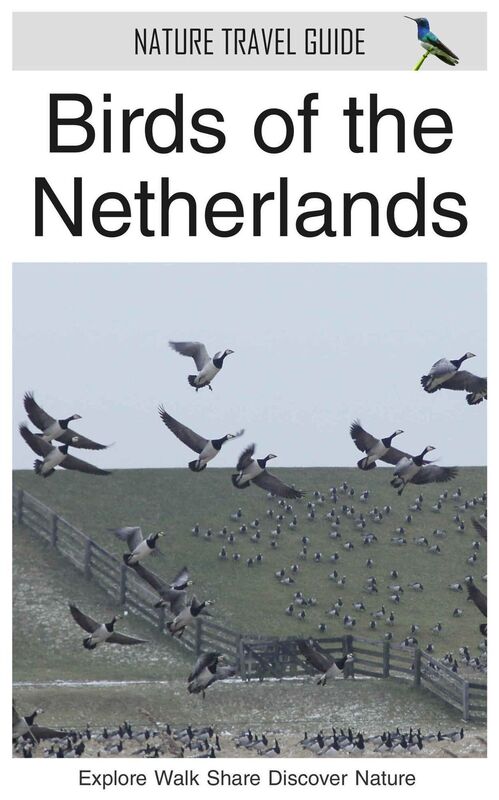 Birds of the Netherlands (Nature Travel Guide)